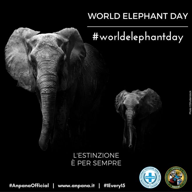 #WorldElephantDay 2016