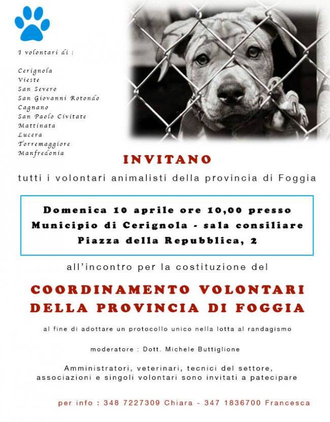 NASCE IL COOORDINAMENTO PROVINCIALE  DI FOGGIA  DEI VOLONTARI ANIMALISTI