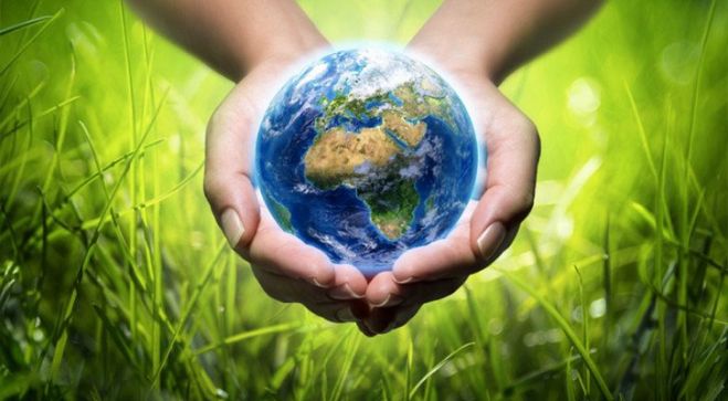 Per la giornata Mondiale dell'Ambiente: Promuoviamo un Futuro Sostenibile