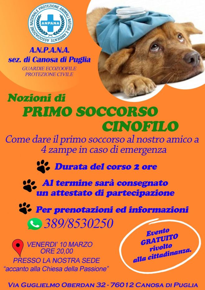 Canosa - &quot;ci tieni al tuo cane?&quot; - primo soccorso...