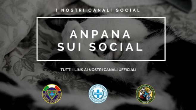 I canali social di ANPANA onlus
