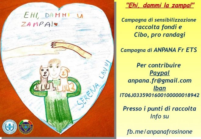 Frosinone, &quot;Ehi, dammi la zampa!&quot; - al via campagna pro randagi