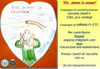 Frosinone, &quot;Ehi, dammi la zampa!&quot; - al via campagna pro randagi