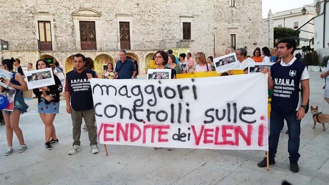 Fiaccolata della Solidarietà