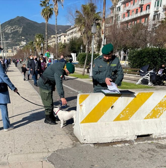 Anagrafe canina regionale informatizzata (ACIR) - Giornata di controlli a Salerno