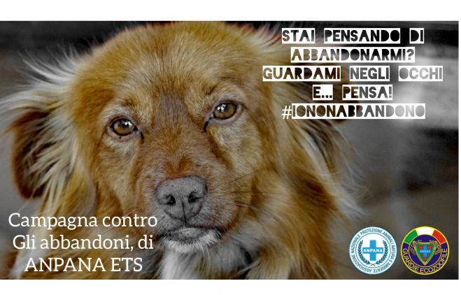 ANPANA contro gli abbandoni #iononabbandono