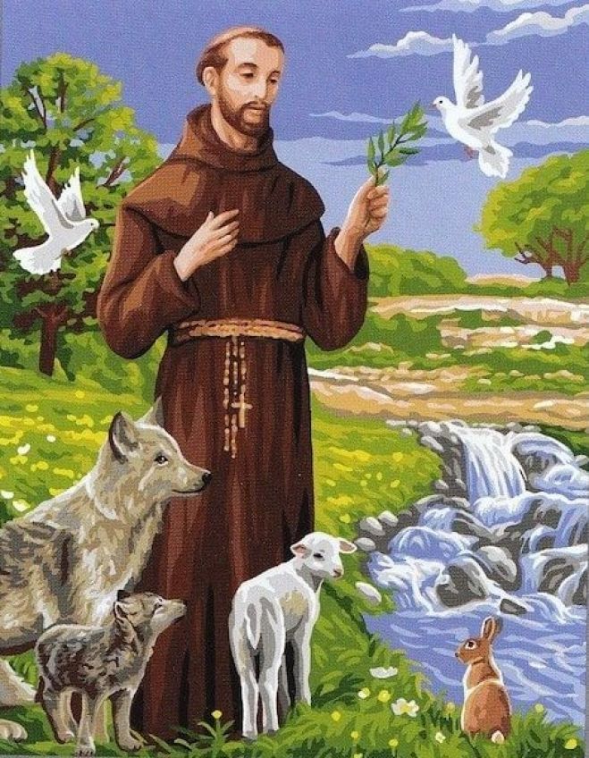 San Francesco, Santo animalista ed ambientalista - Auguri!