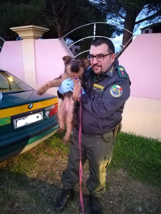 Legato in mezzo agli escrementi e con poca acqua: le guardie Anpana salvano un cucciolo a Bari Sardo