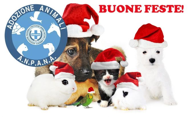 BUONE FESTE