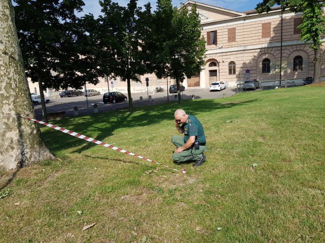 Mantova - pericoli in Piazza Virgiliana in azione le Guardie Anpana