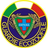 ++La ripresa di Anpana Mantova++