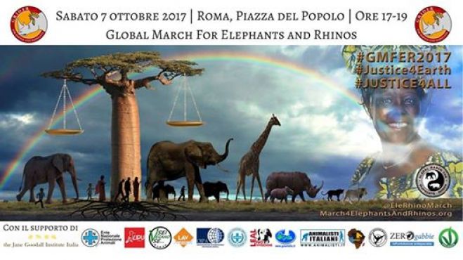 ANPANA Onlus è con GRIDER nella #GMFER2017