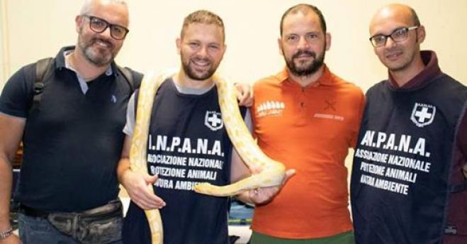 Alla scoperta dei serpenti: successo per il corso formativo organizzato da Anpana Termoli e Wild World