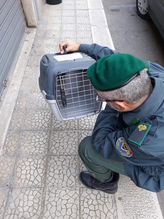 INCASTRATO DA ORE NEL VANO MOTORE DI UN&#039;AUTO-NOICATTARO (BA)