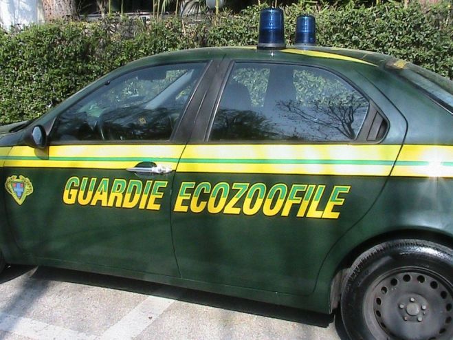 PARLAMENTO: ANIMALI, NUOVI REATI E PIU&#039; POTERI ALLE GUARDIE ZOOFILE