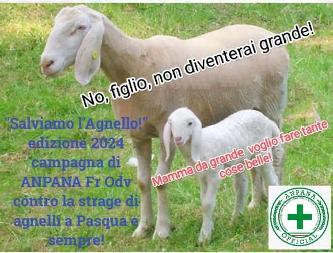 Frosinone "Salviamo l'Agnello!" e tutti i cuccioli