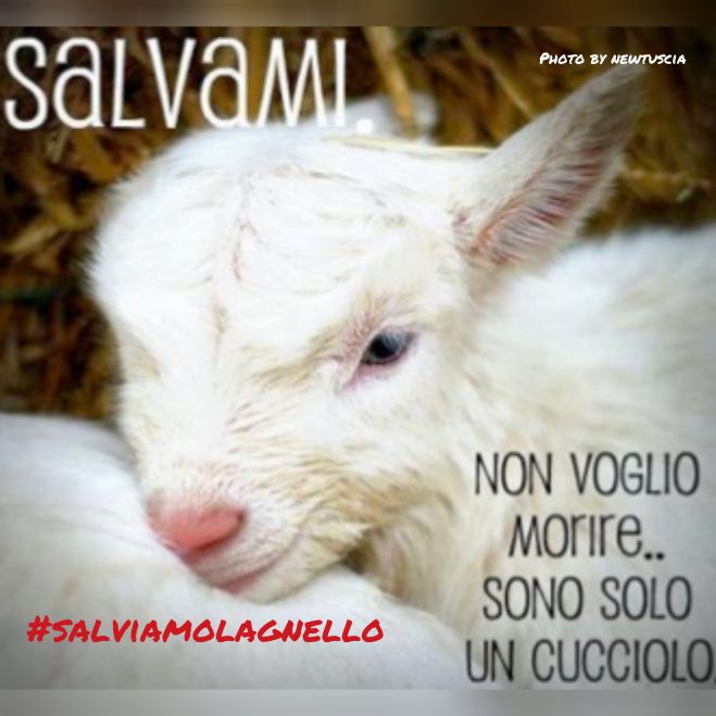 ANPANA Frosinone - #salviamolagnello