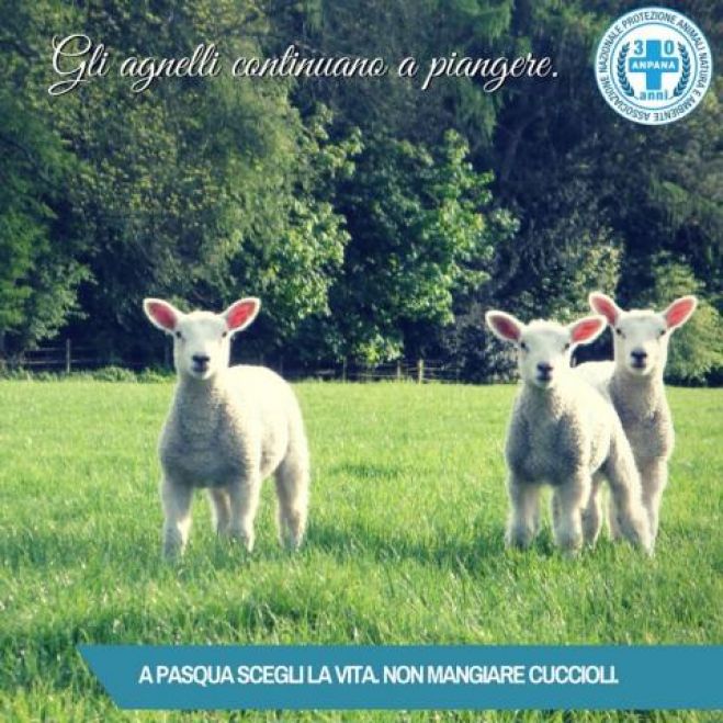 A Pasqua non mangiamo cuccioli, un gesto d&#039;amore e civiltà