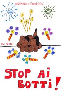 Stop botti - uccidono ed inquinano