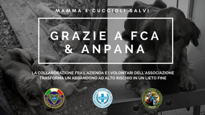 Collaborazione Anpana Frosinone-FCA per salvare mamma e 5 cuccioli