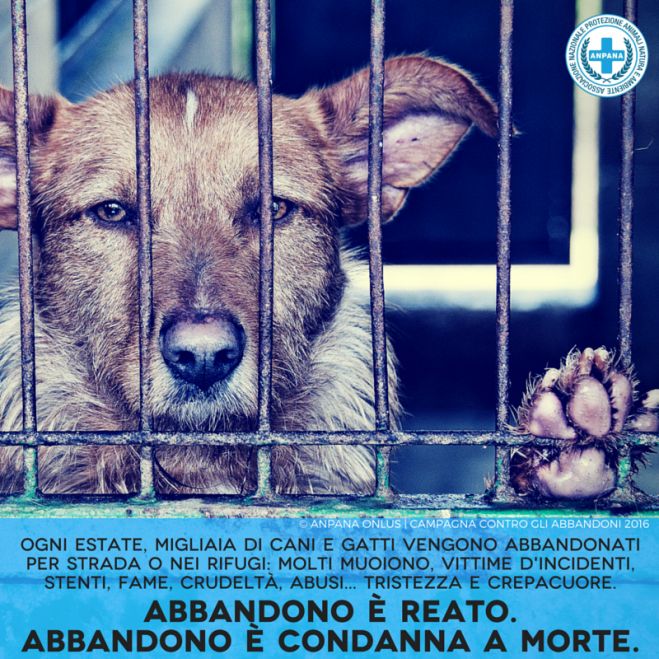 Campagna #NoAbbandono Anpana Onlus 2016