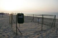 ANPANA e WWF: una bella collaborazione pro Caretta Caretta