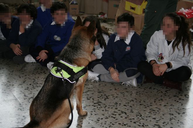 Altamura - A scuola con i cani