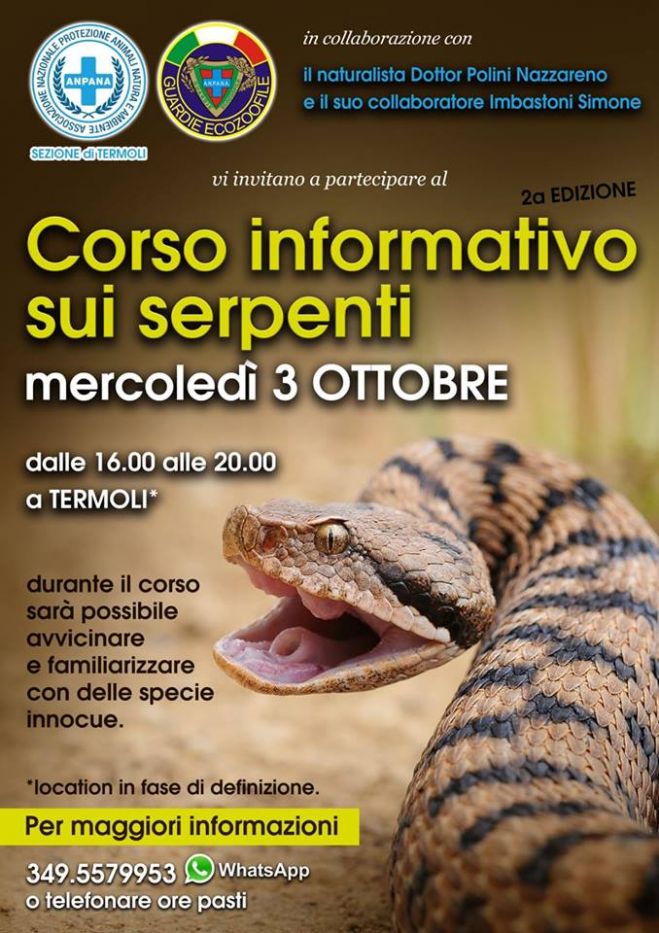 Termoli. Corso informativo sui serpenti