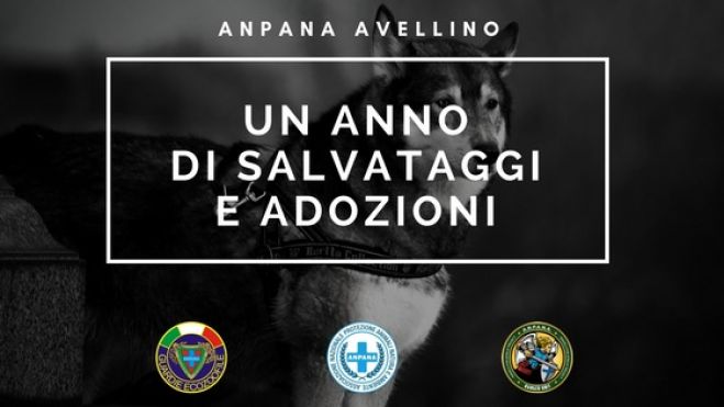 Un Anno di salvataggi e adozioni (ANPANA AVELLINO)