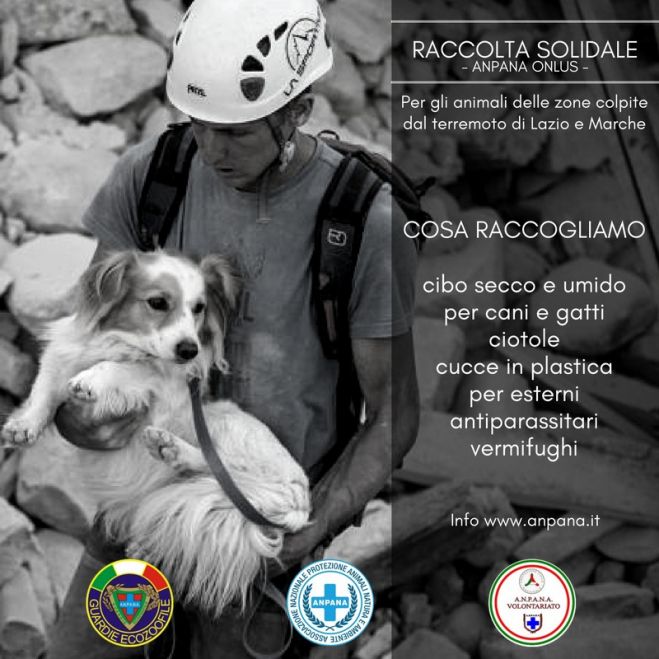 #terremoto - ANPANA Frosinone raccoglie beni per animali terremotati