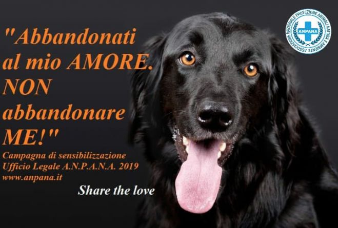 Campagna &quot;Abbandonati&quot; - Ufficio Legale