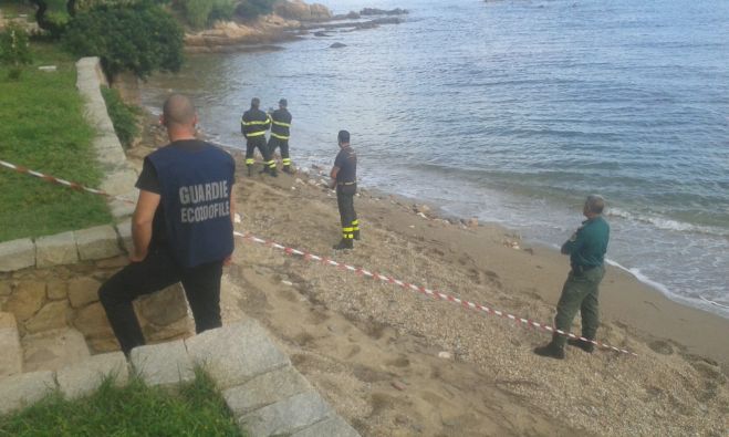 Ogliastra :Le guardie eco-zoofile di Anpana Nuoro-Ogliastra mettono in sicurezza un muro in pietra a Santa Maria