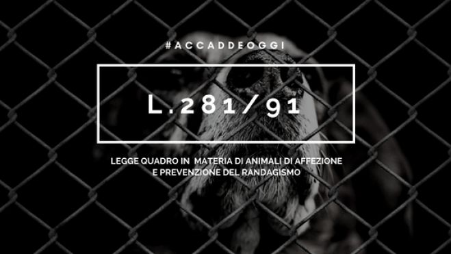 #AccaddeOggi | L.281/91