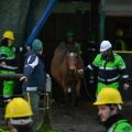 Esercitazione di Protezione Civile in Provincia di Torino