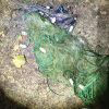 Sirmione BS, Guardie ANPANA e Polizia Locale sequestrano 60 metri di reti per pesca di frodo