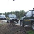 A.N.P.A.N.A. FORLI-CESENA SCOPRE ALLEVAMENTI ABUSIVI DI CANI