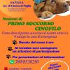 Canosa - "ci tieni al tuo cane?" - primo soccorso...
