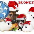 BUONE FESTE