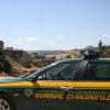 Vallo della Lucania, scoperto canile irregolare, denunciato proprietario