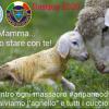 Salviamo l'agnello - pasqua 2020 non violenta