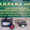 LOTTA AL BRACCONAGGIO IN MERCATO SAN SEVERINO