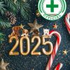 Buon 2025