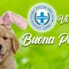 Serena Santa Pasqua