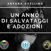 Un Anno di salvataggi e adozioni (ANPANA AVELLINO)