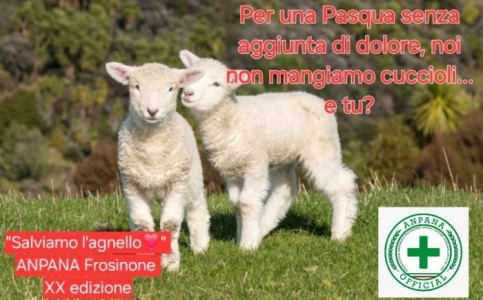 Frosinone - "salviamo l'agnello" e tutti i cuccioli, XX edizione