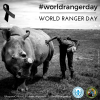 #WorldRangerDay | Oggi il mondo ricorda i ranger caduti per difendere l'ambiente