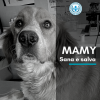 Collaborazione Anpana Frosinone-FCA per salvare mamma e 5 cuccioli