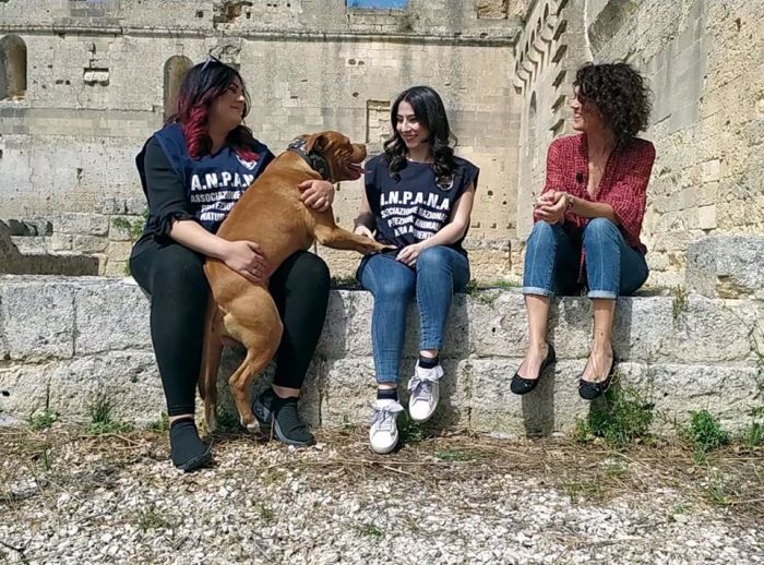 Raccontare ci&ograve; che siamo e ci&ograve; che quotidianamente mettiamo in pratica per la salvaguardia di animali, della natura e dell&rsquo;ambiente.