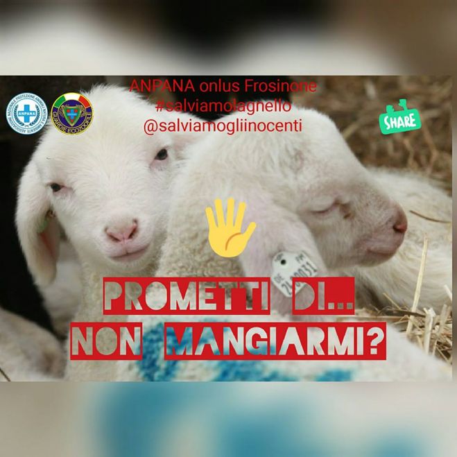 Frosinone - ANPANA onlus "salviamo l'agnello"