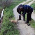 Scoperte in un torrente nel Crotonese 4 carcasse di cani uccisi a fucilate